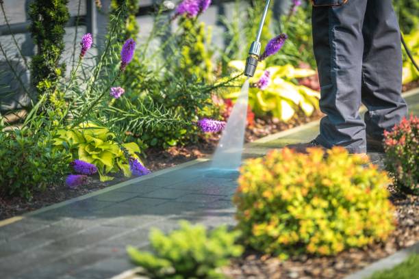 Reliable Sidney, OH Pressure Washing Services Solutions